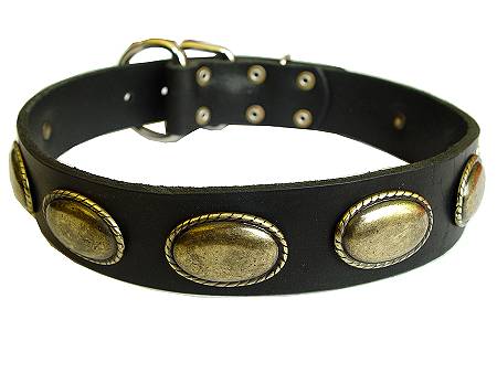 leather dog collar for pit bull